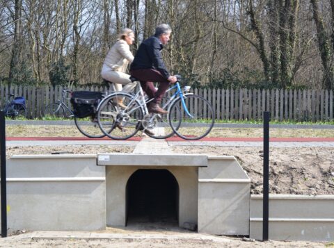 paddentunnel aan de Brederodelaan in Bloemendaal